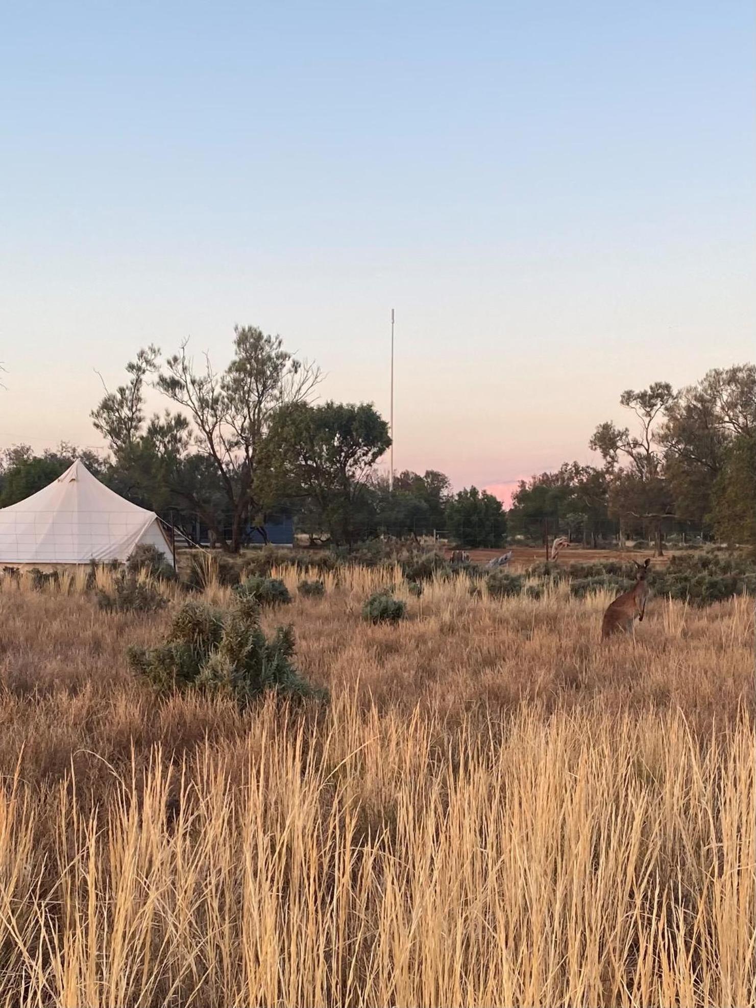 Mungo Lodge Exterior photo